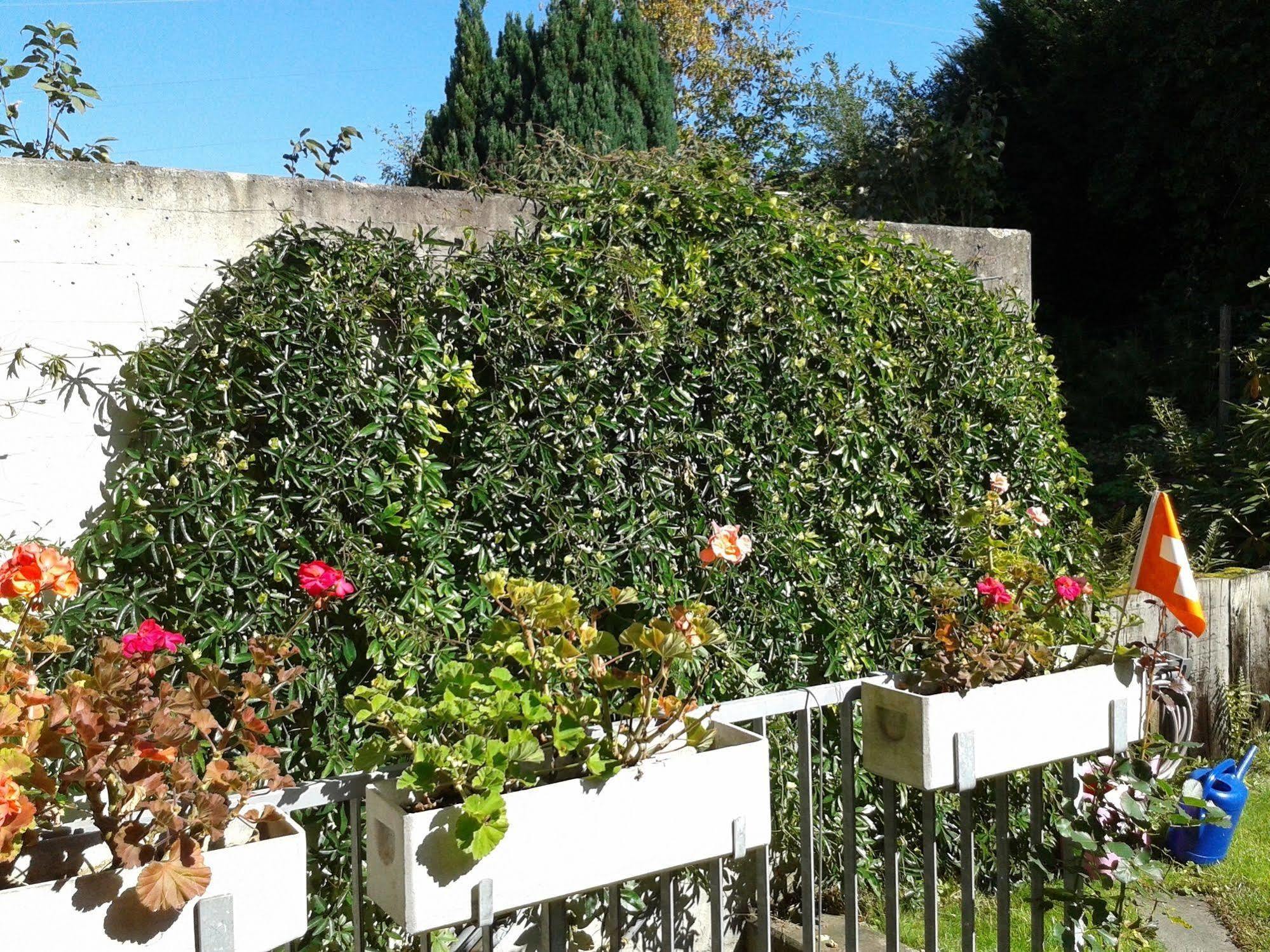 Mybednbreakfast In Bottmingen Bed & Breakfast Dış mekan fotoğraf