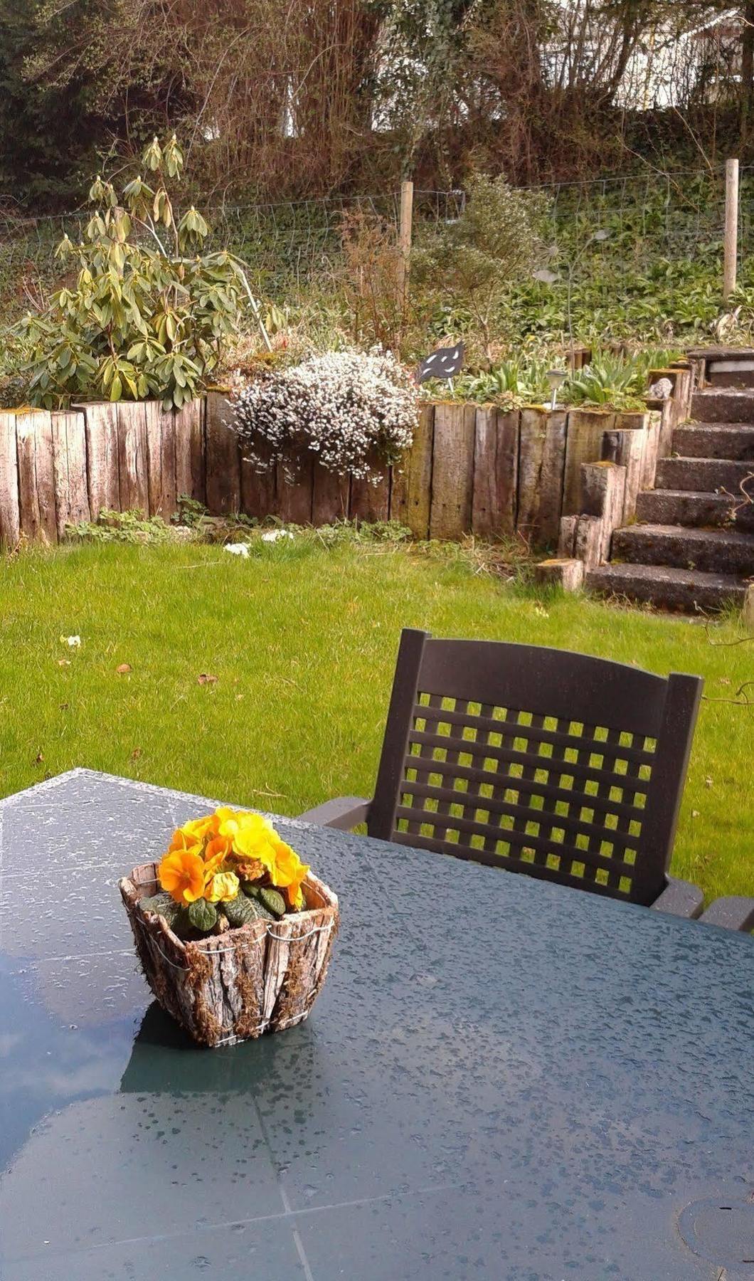 Mybednbreakfast In Bottmingen Bed & Breakfast Dış mekan fotoğraf