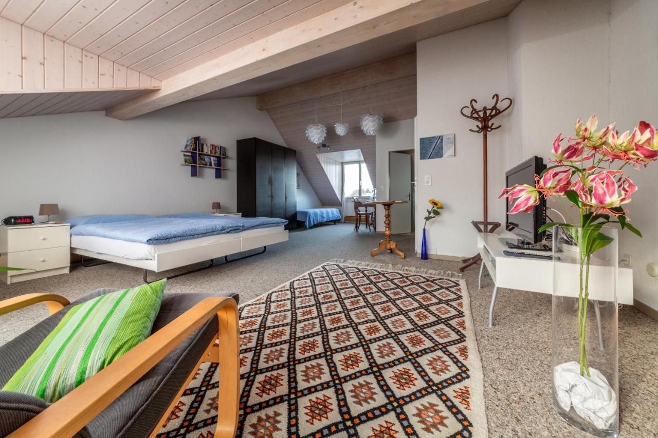 Mybednbreakfast In Bottmingen Bed & Breakfast Dış mekan fotoğraf