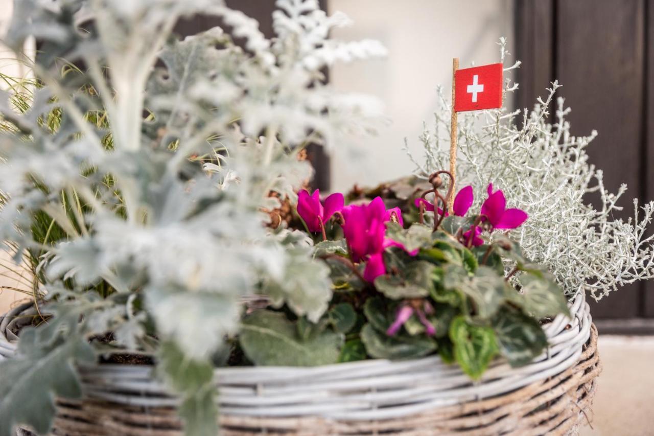 Mybednbreakfast In Bottmingen Bed & Breakfast Dış mekan fotoğraf